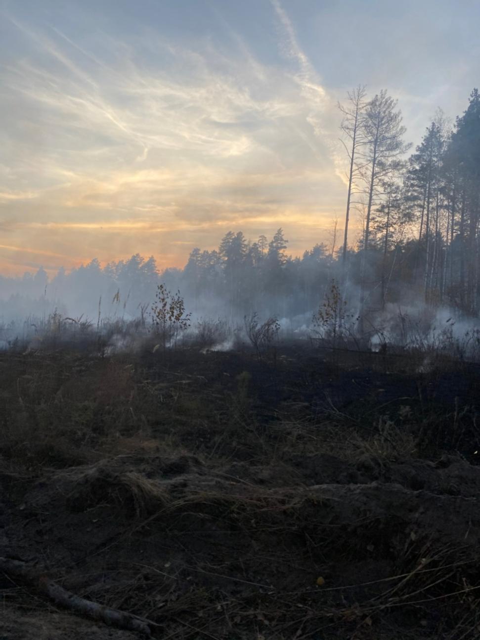 В Пензенской области зафиксирован первый лесной пожар
