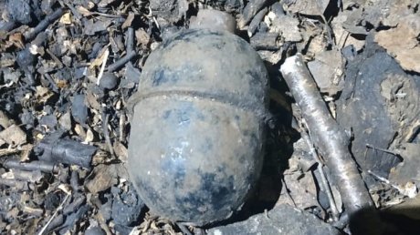 Житель Башмаково раскопал гранату на своем участке