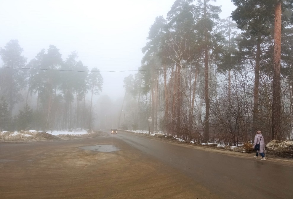 В Пензе из-за сильного ветра образовались пылевые бури