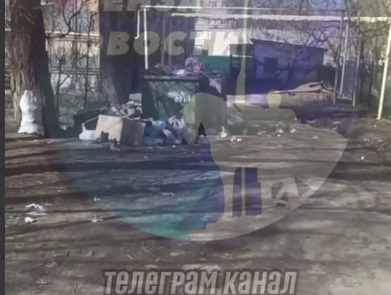 Переполненные мусорные баки у лицея №3 в Пензе возмутили горожан