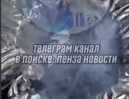 Пензенцы обеспокоены поджогами мусора в Ульяновском парке