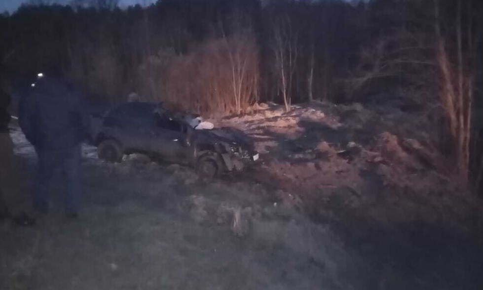 В ГИБДД рассказали подробности о погибшем в ДТП с лосем под Кузнецком