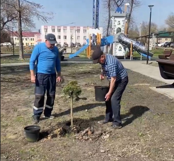 Жителей Сердобска призвали беречь высаженные в городе деревья и кустарники