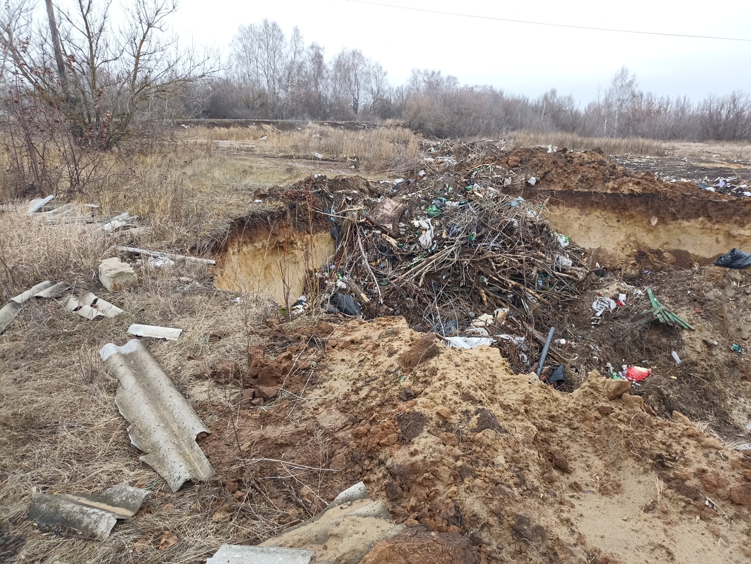 Житель Каменского района заплатит 40 тысяч рублей за свалку