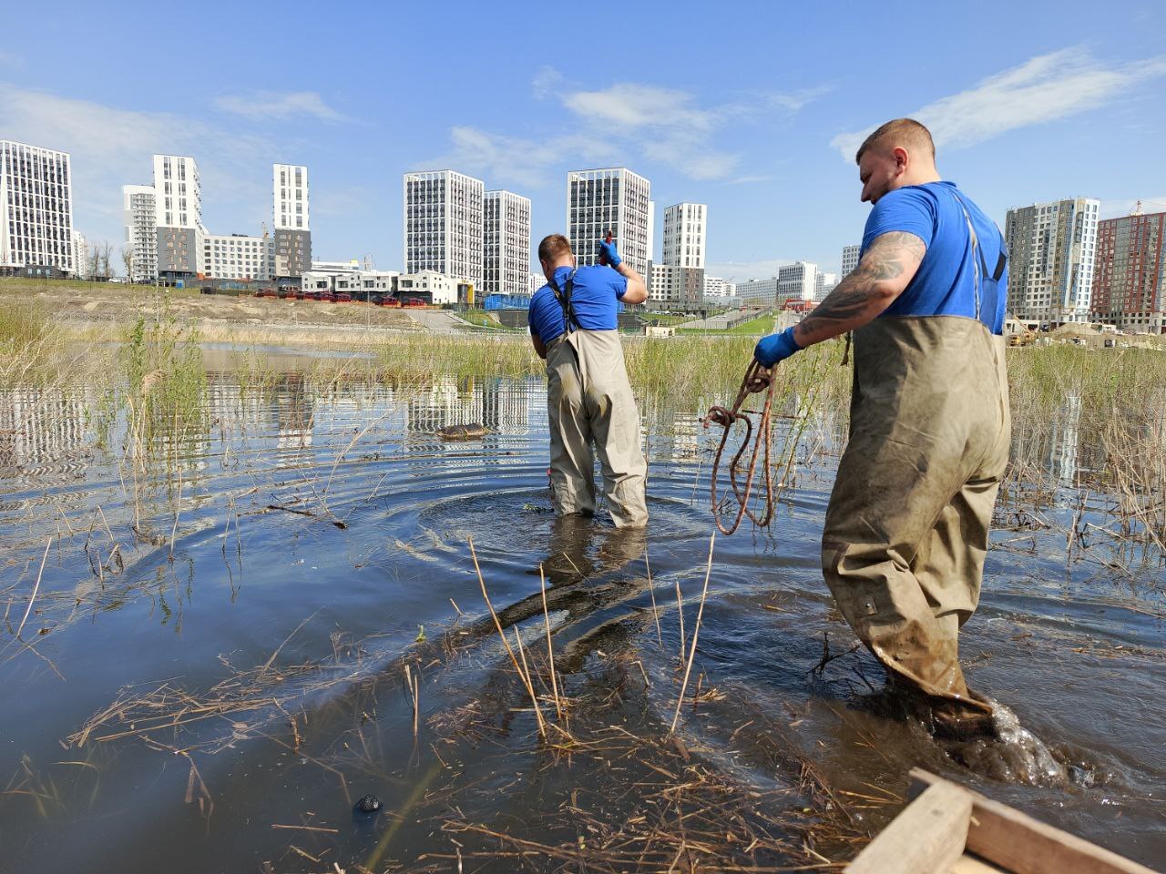 В Пензе из пруда у больницы №6 извлекли тело женщины