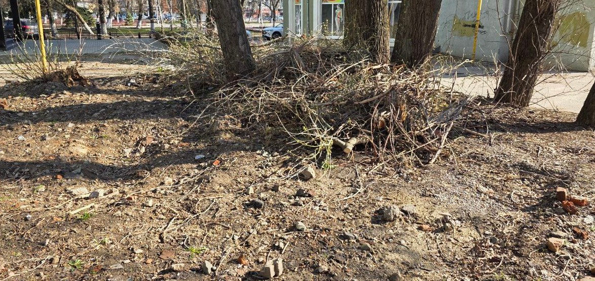 В Пензе председатель Гордумы остался недоволен уборкой дворов