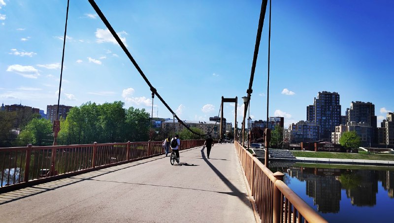 Приговор депутату и появление медведя: что случилось в Пензе 23 апреля