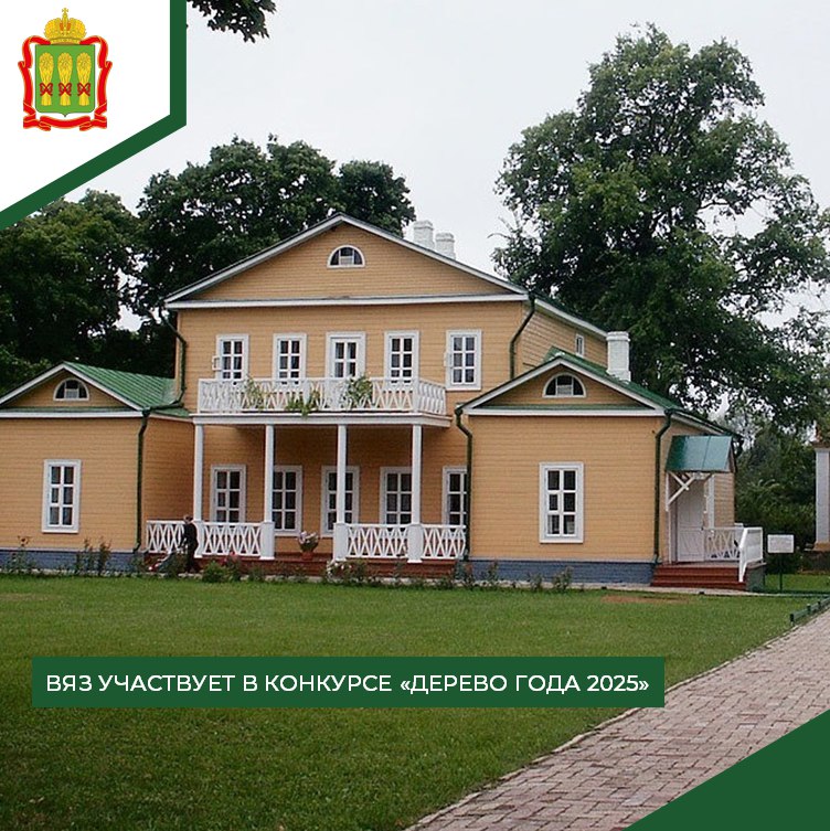 Тарханский вяз претендует на звание «Российское дерево года – 2025»