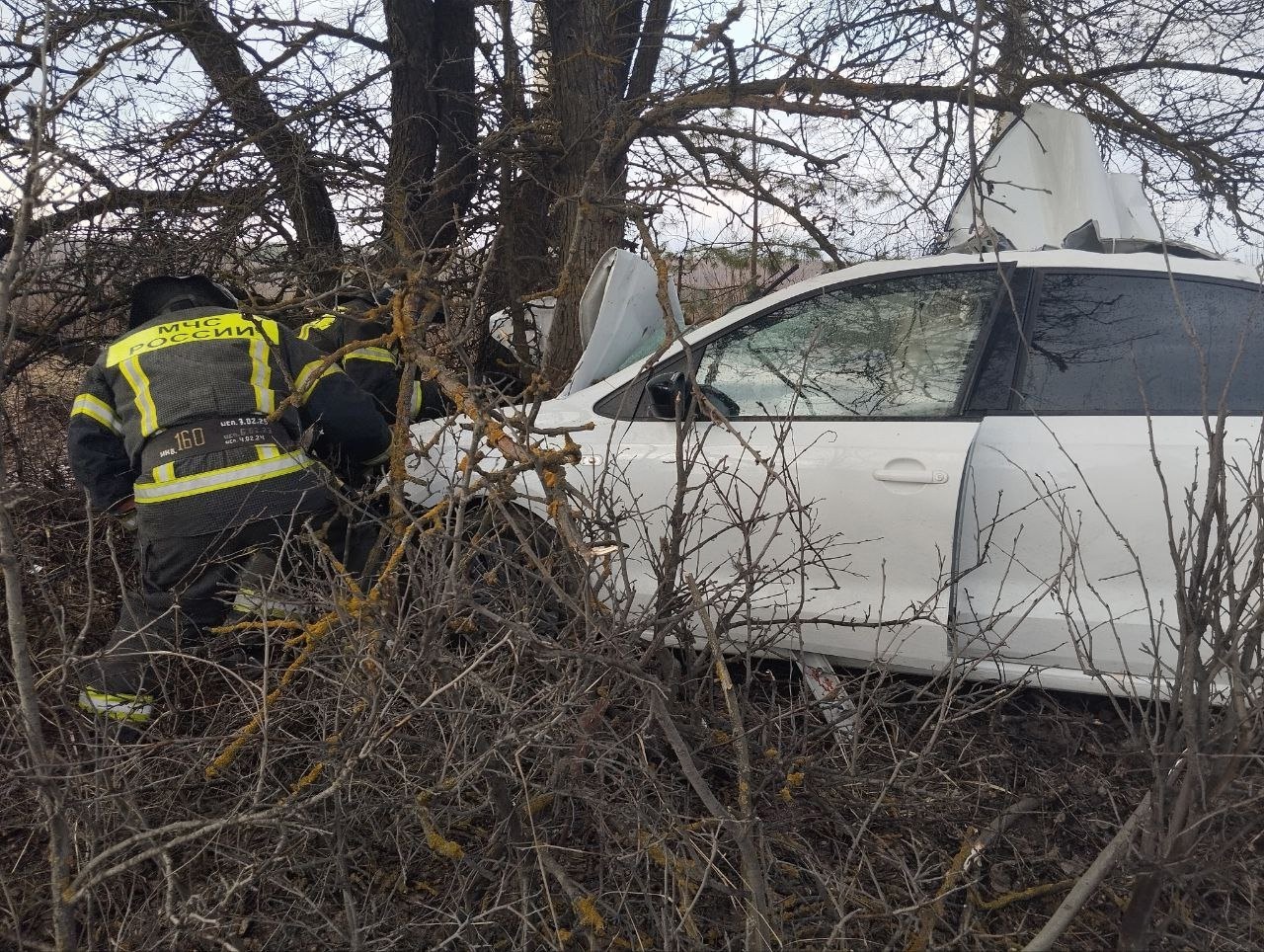 В Городищенском районе мужчина погиб после наезда иномарки на дерево