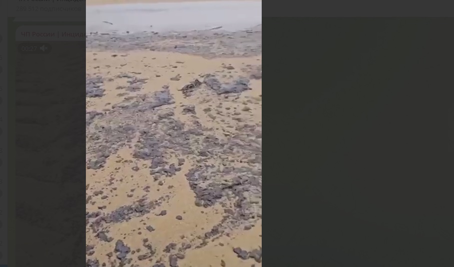 Пензенцам рассказали о новом разливе мазута в Анапе