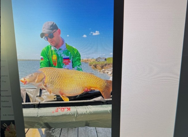 Огромный сазан, выловленный пензенцем в Суре, вызвал сомнения в соцсетях