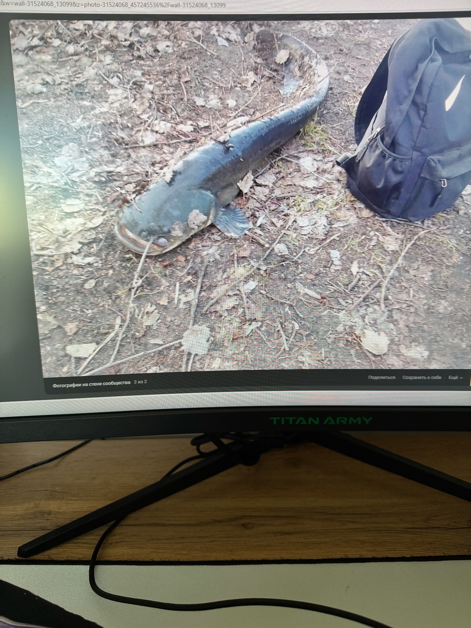 Пензенский рыбак выловил из Суры огромного сома