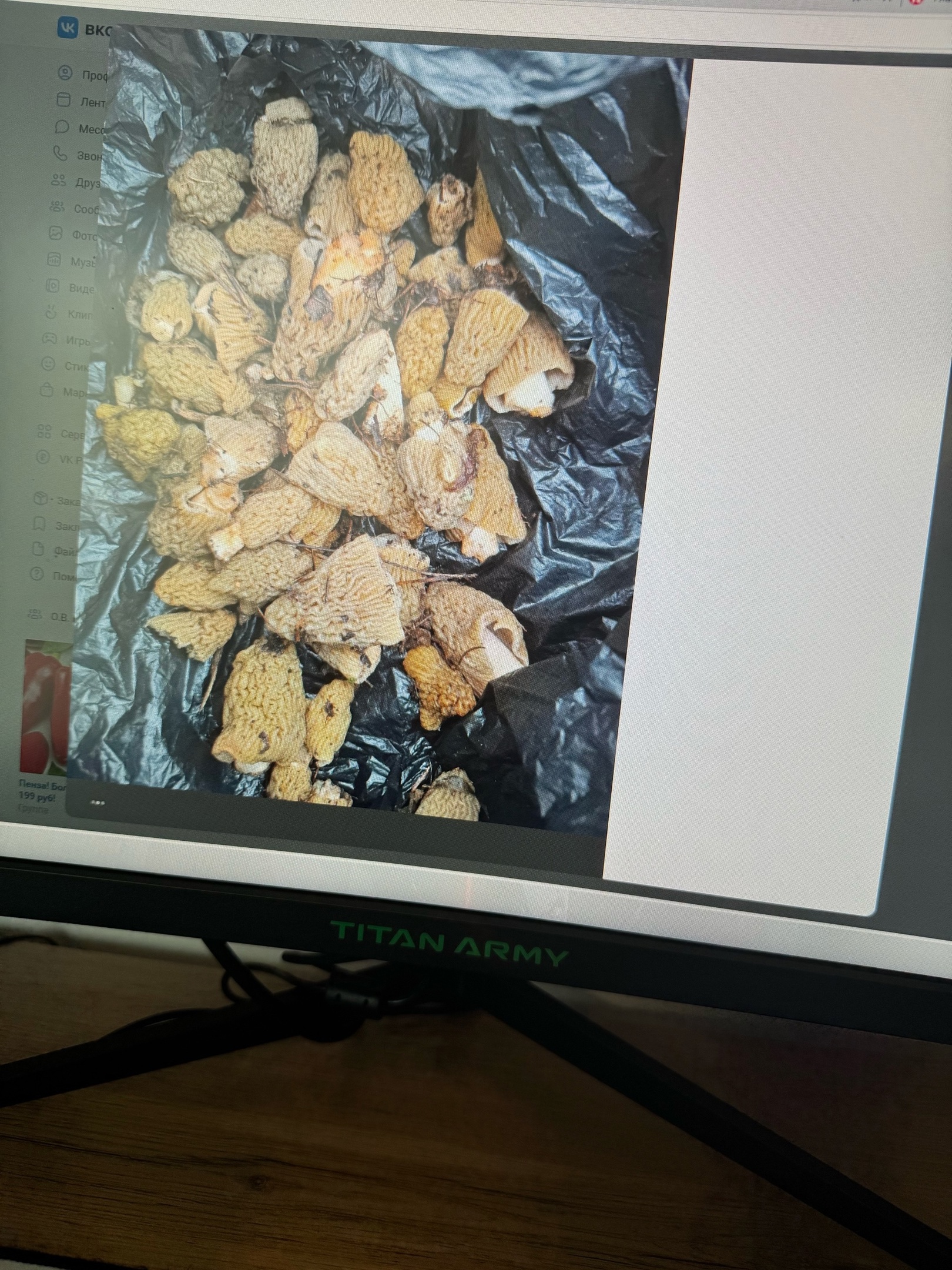 Жители Нижнего Ломова собирают сморчки, опасаясь медведей