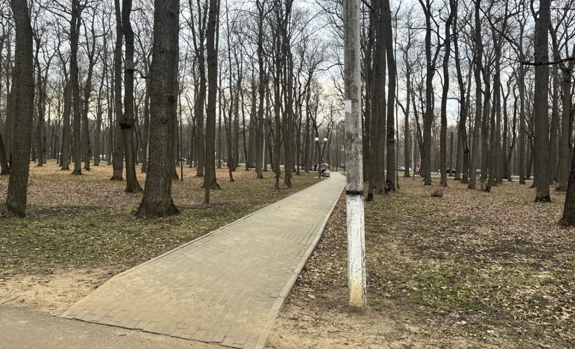 Пензенцам ответили на просьбу установить пандусы на Тропе здоровья