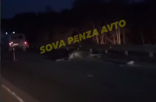 В Кузнецком районе автомобиль столкнулся с лосем