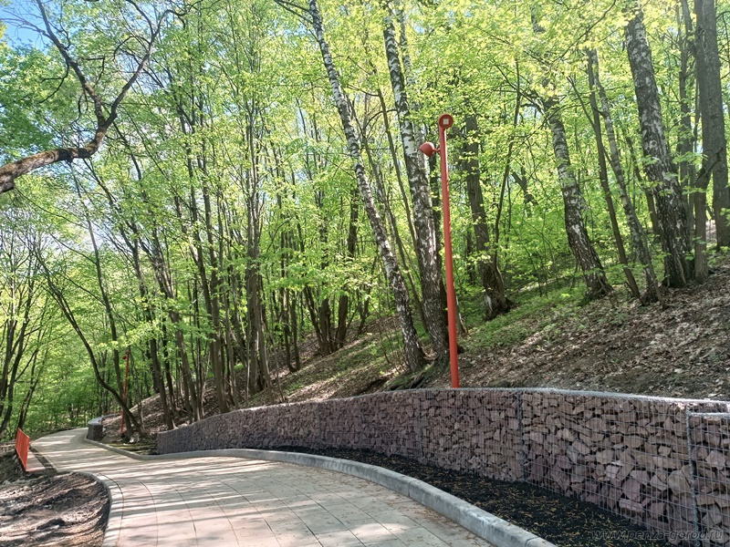 Тропа здоровья в Пензе станет доступнее благодаря новым спускам