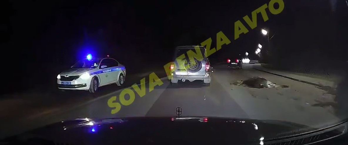 В Пензе автобус и Lexus сбили лося на дороге в Ахуны