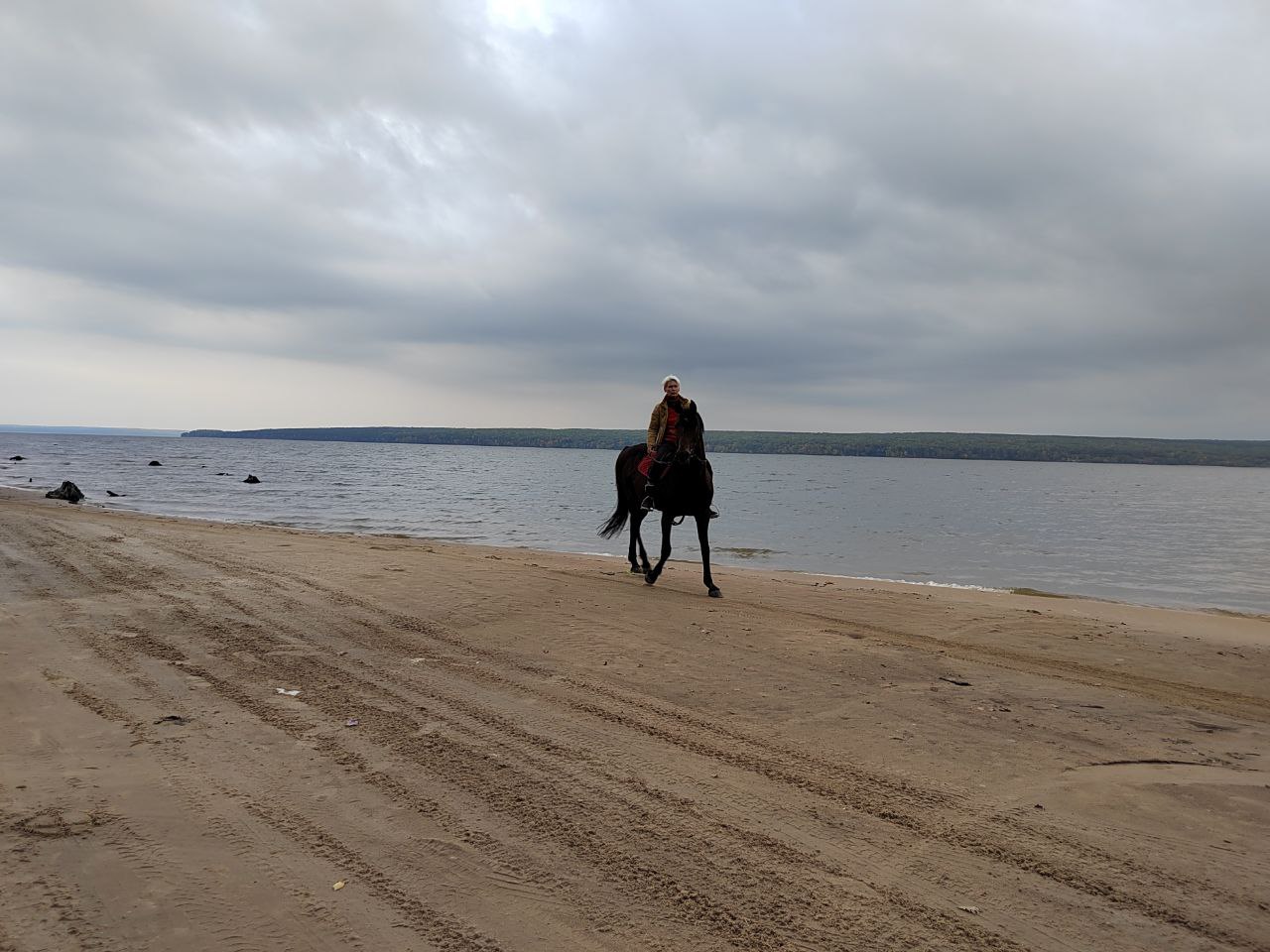 Олег Мельниченко обсудил с предпринимателями комплексное развитие Сурского водохранилища