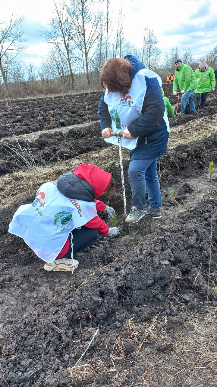 Пензенские энергетики посадили "Сад памяти" к 80-летию Победы