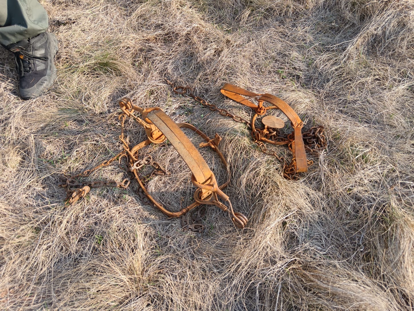 Браконьера с капканами поймали в Малосердобинском районе