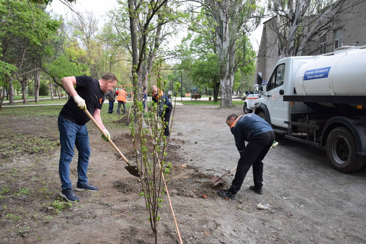 Сад Памяти в честь героев ВОВ и СВО высадили в подшефном Пензе Токмаке