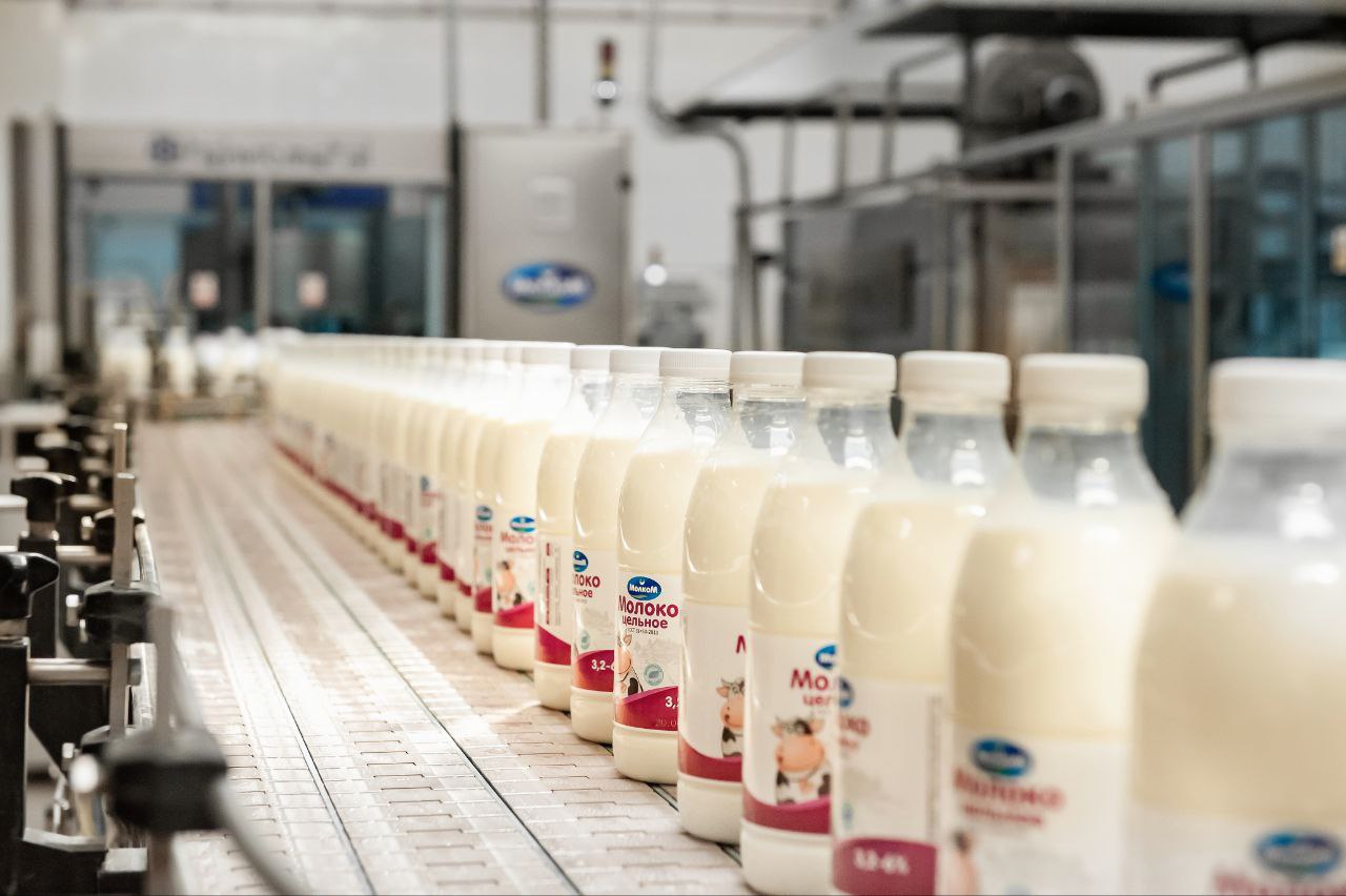 «Молком»: как производятся безопасные молочные продукты