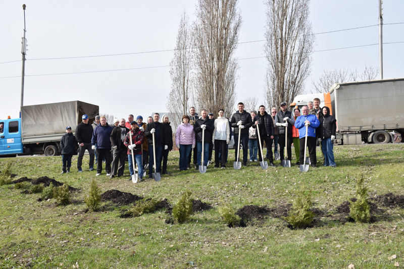 Пензенцы высадили 120 туй у монумента Глобус