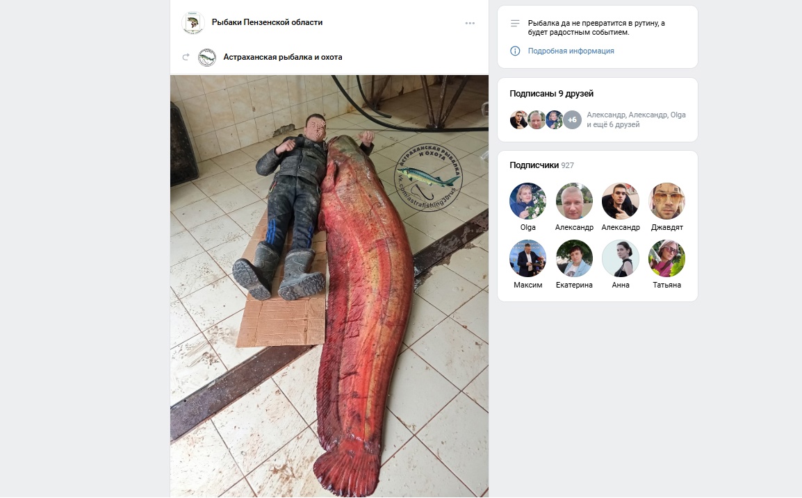 В Пензе рыбаки поделились фото гигантского сома в два человеческих роста