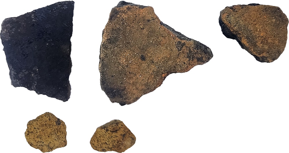 В Пензенской области археологи обнаружили древнее поселение