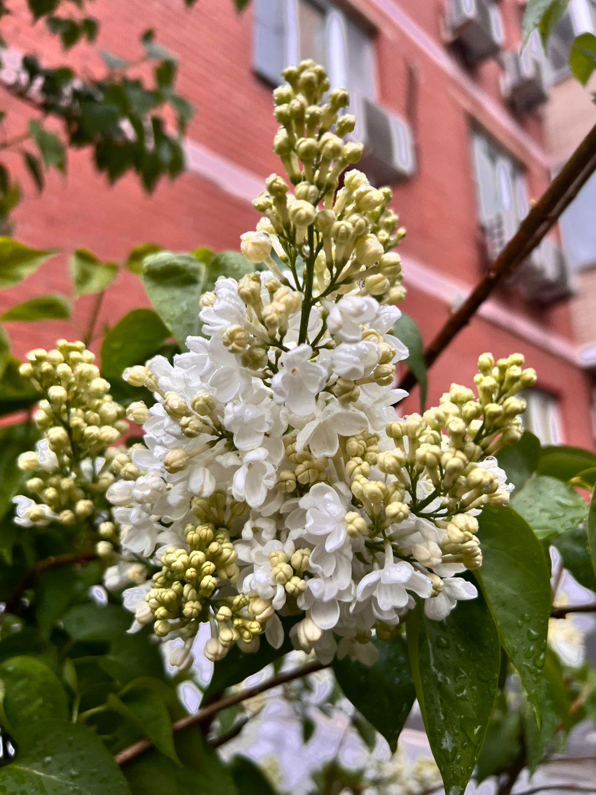 Пензенский гериатр рассказала, как прожить весну без депрессий