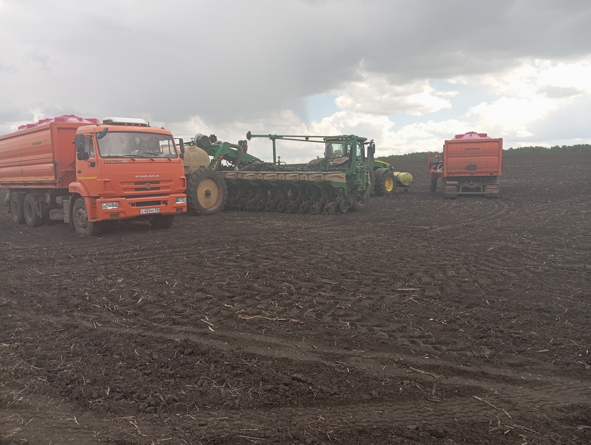 Почти 36 тысяч га земли засеют в Лопатинском районе