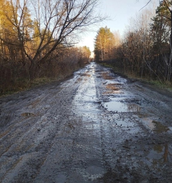 Пензенцы жалуются на аварийную дорогу к очистным сооружениям Заречного