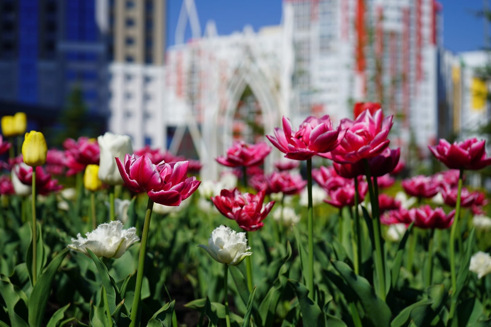 Пензенцам обещают летнюю погоду не раньше выходных