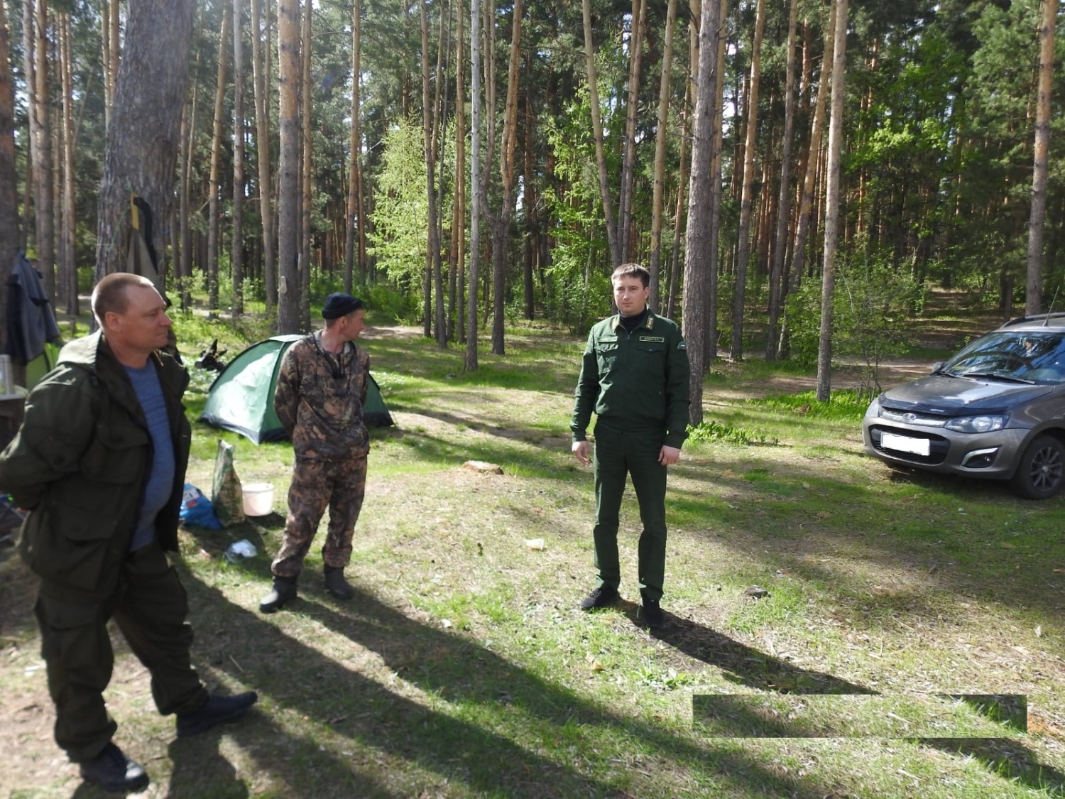 124 нарушения: в Пензенской области усилили охрану лесов