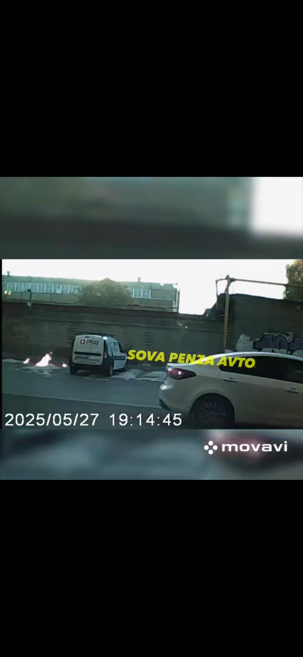 Пензенец поджег тополиный пух, рискуя получить крупный штраф