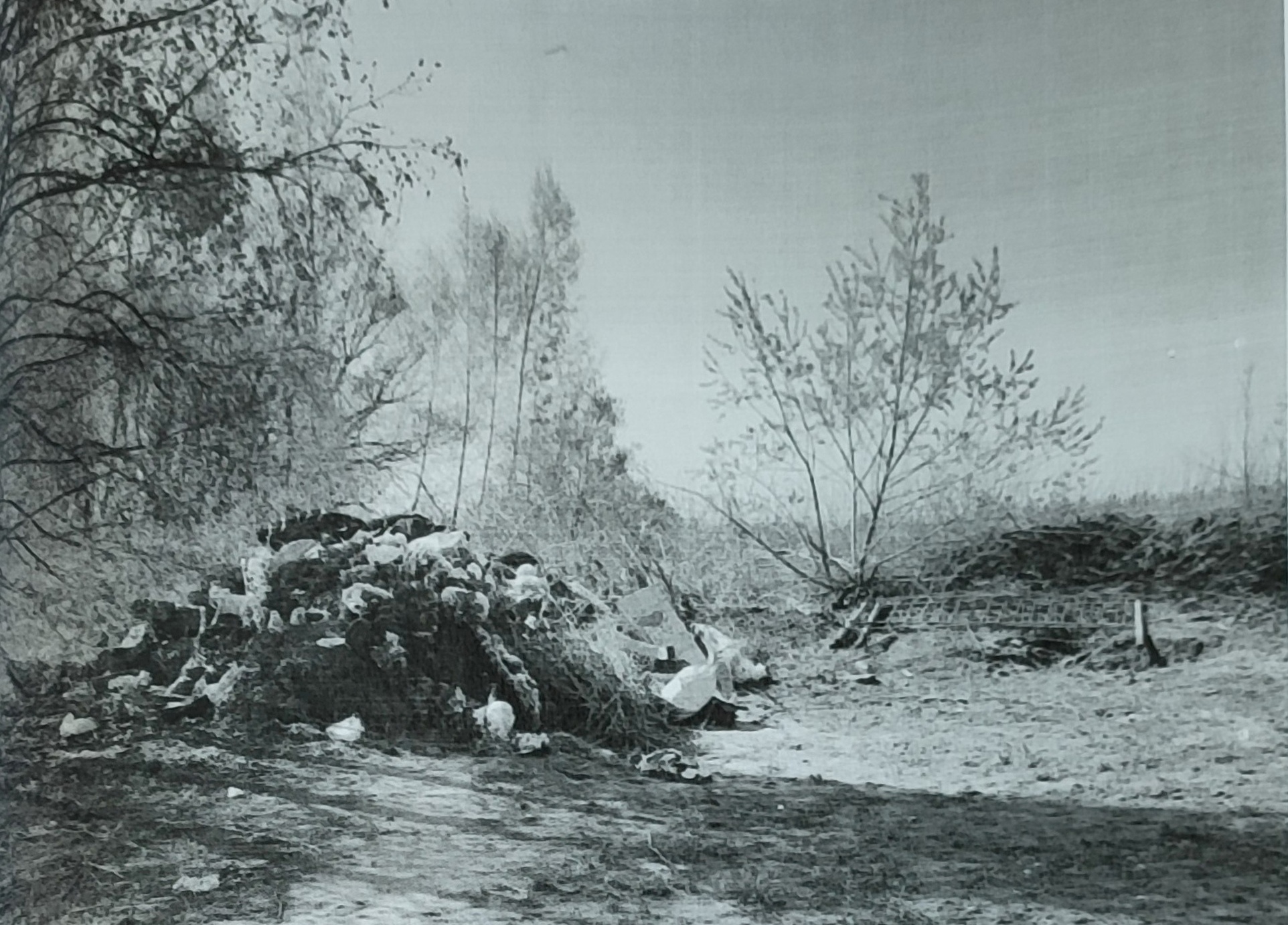 В Белинском районе бездействие администраций создает угрозу экологии