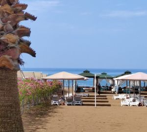 Анатолий Попов: В стране недостаточно качественных гостиниц