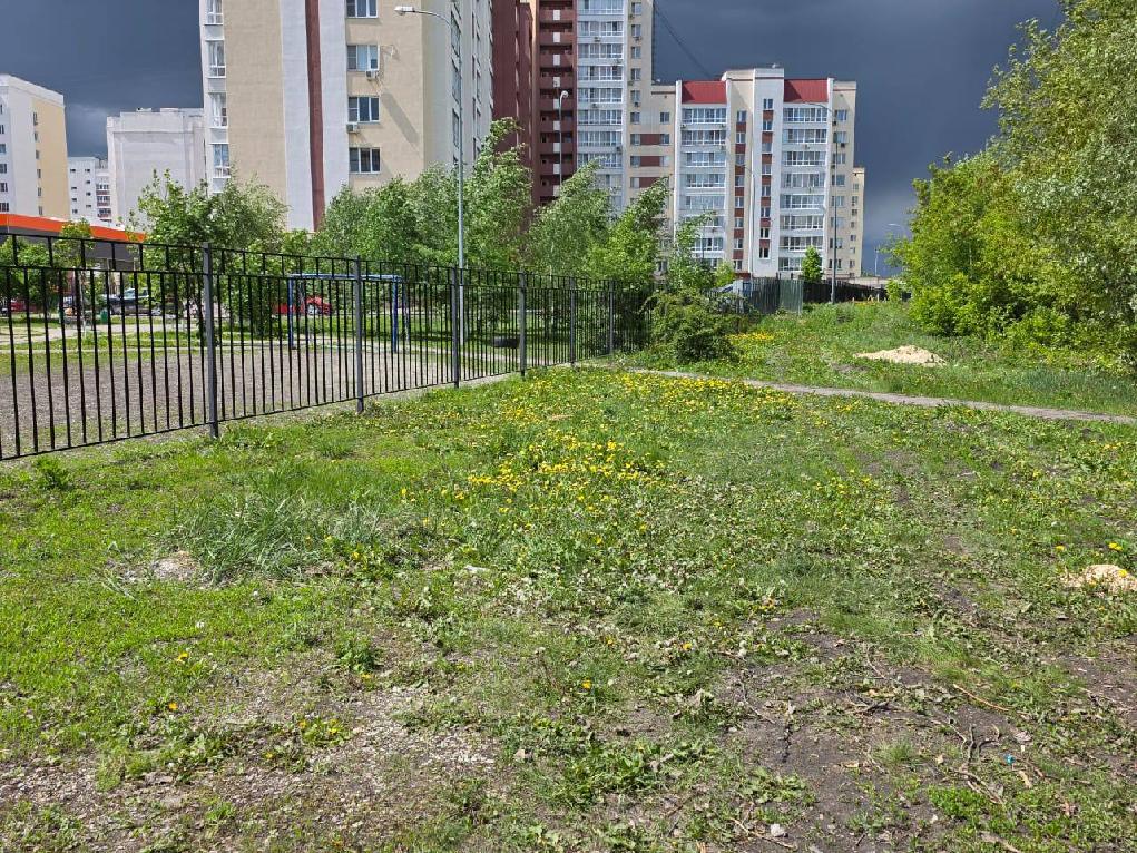 Прокуратура заставила администрацию убрать свалку у детского сада