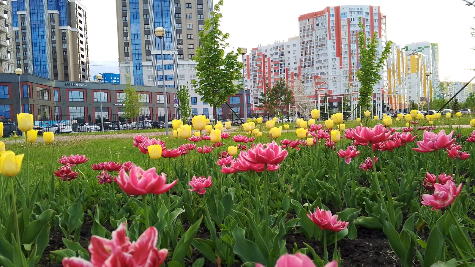 Пензенцев предупреждают о жаре до +33 и высокой пожарной опасности