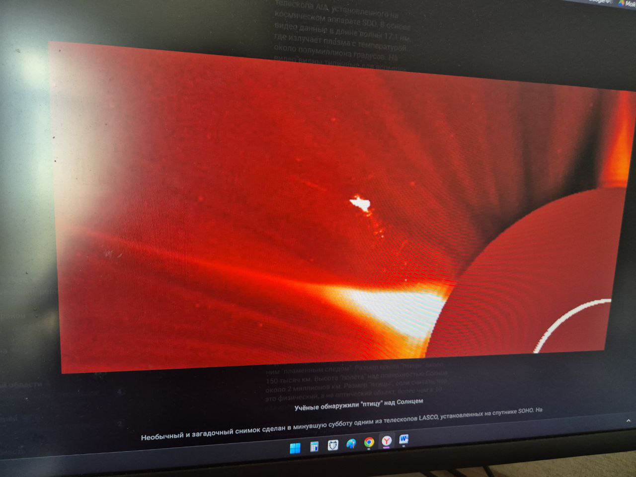 НЛО или феномен: гигантская «птица» размером с планету замечена возле Солнца