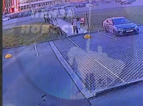 Импровизированный танец пензячки закончился падением световой опоры