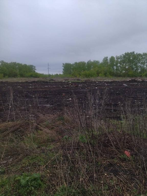 В Пензенском районе чиновника наказали за игнорирование свалки