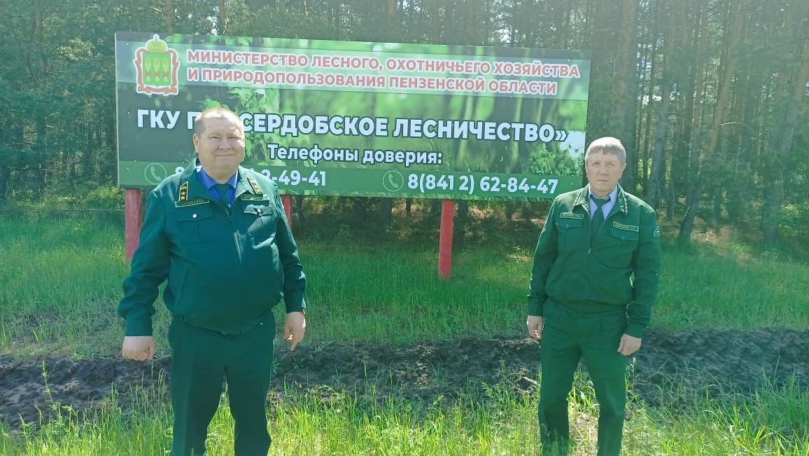 Сердобск защитили от огня 732 километра противопожарных полос