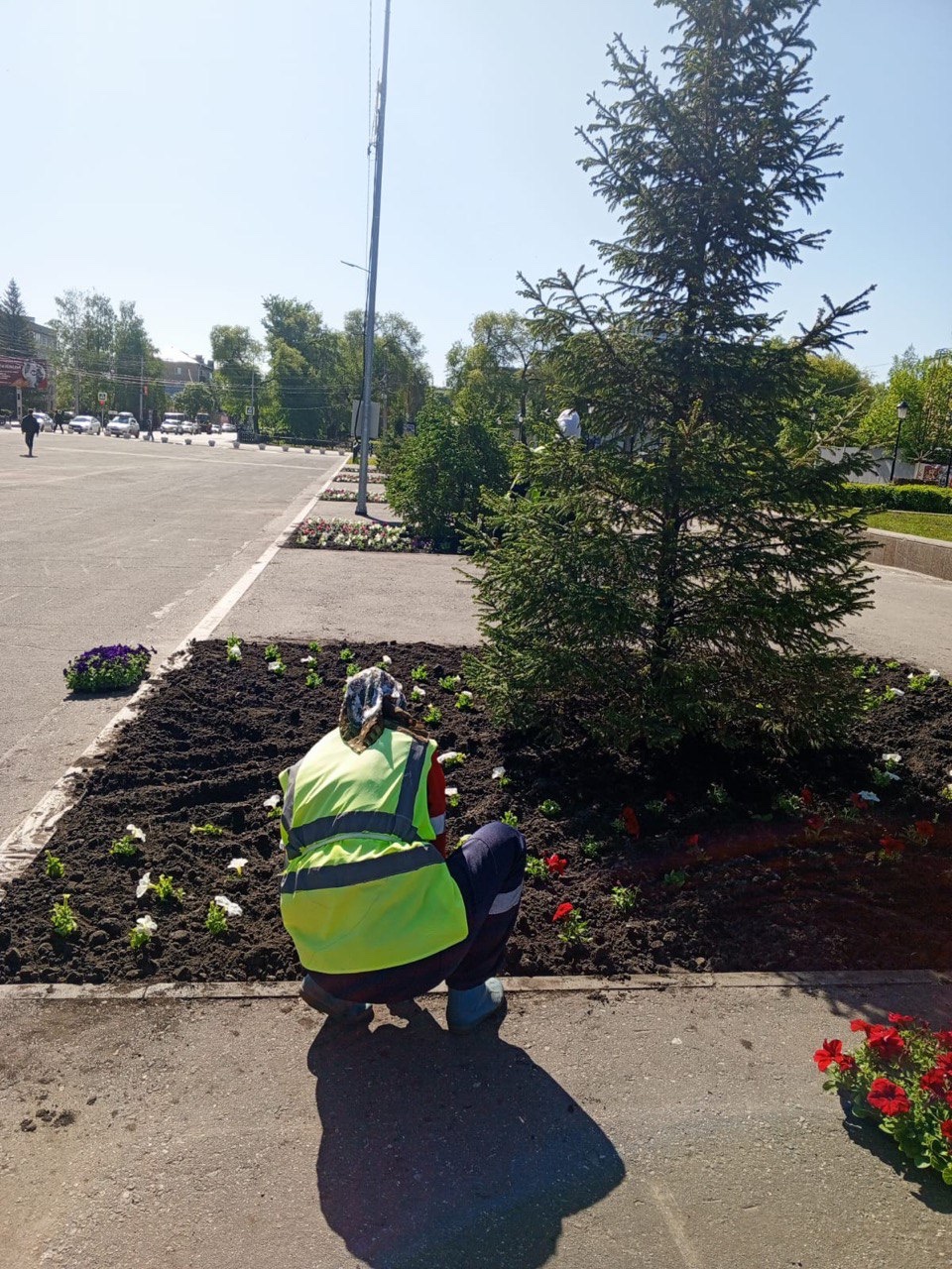 В Кузнецке высаживают тысячи петуний и готовятся к посевной