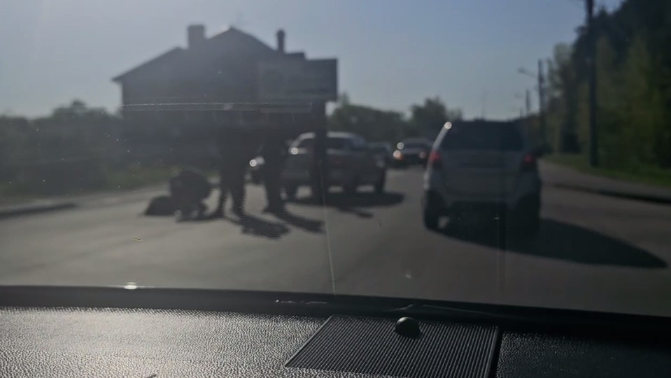 Пензенцы сообщили о сбитом пешеходе на перекрестке в Сосновке