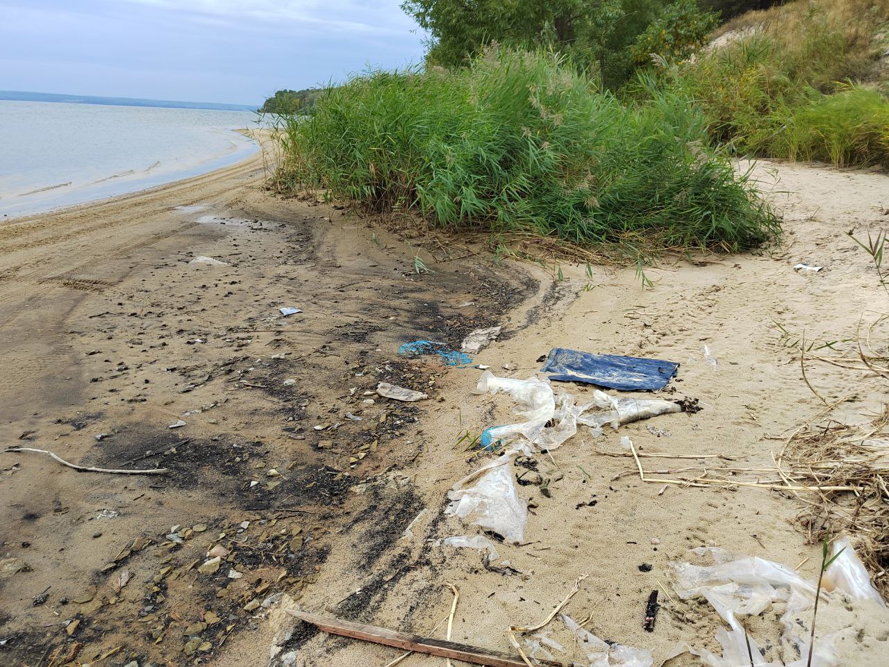 Экологическое состояние Сурского водохранилища: нужен системный подход