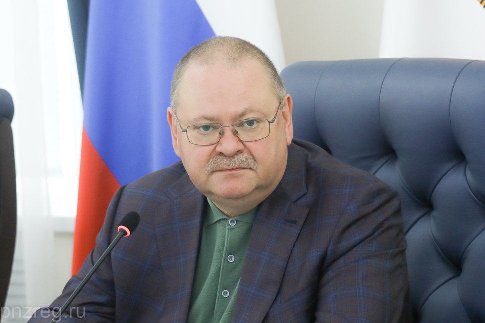 Олег Мельниченко рассказал о масштабных кадастровых работах в Пензенской области