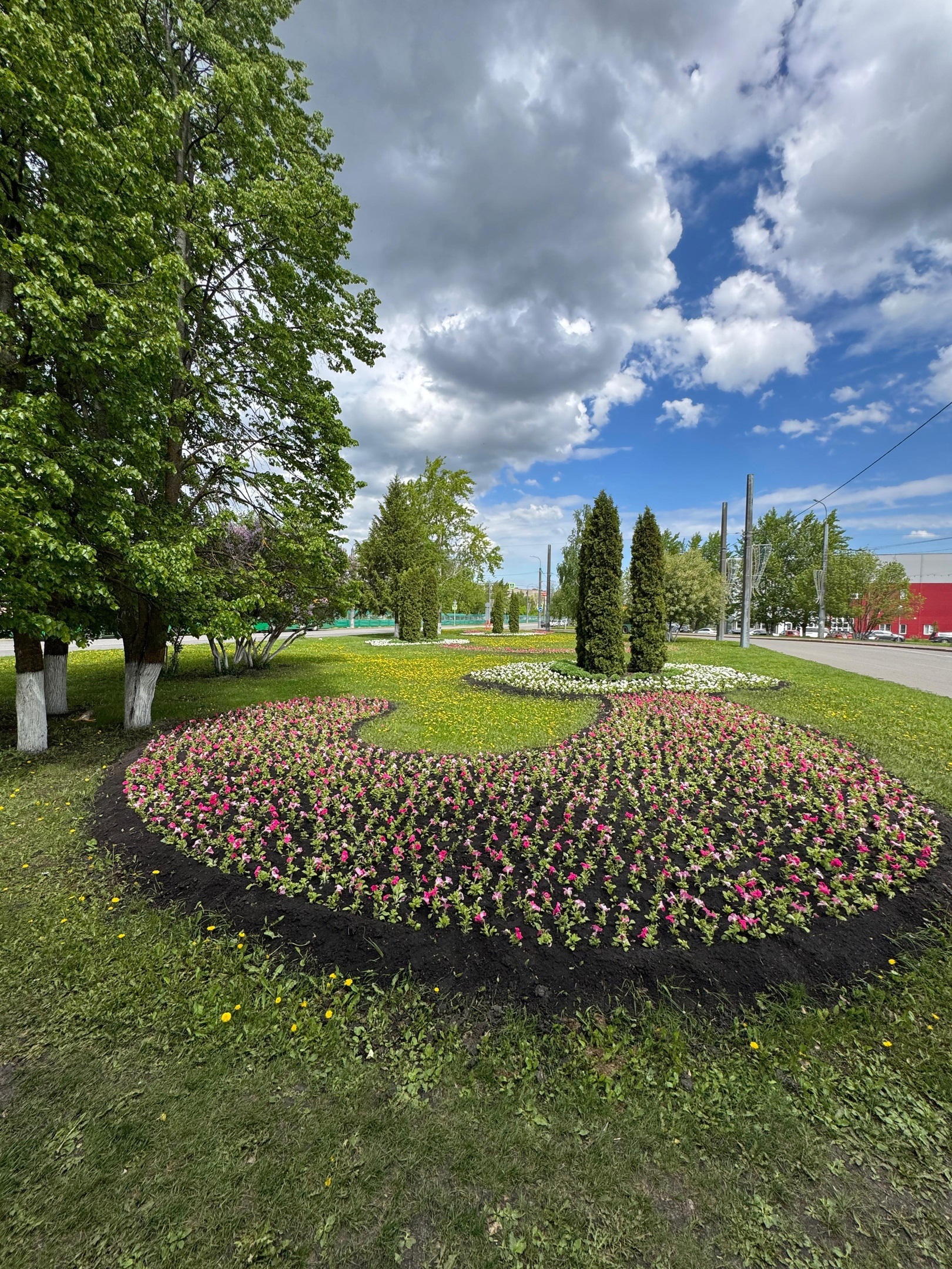 Пензу этим летом украсят 300 тысяч цветов