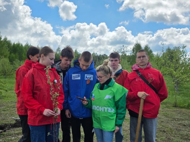 Более 2900 сердобчан проголосовали за объекты для благоустройства