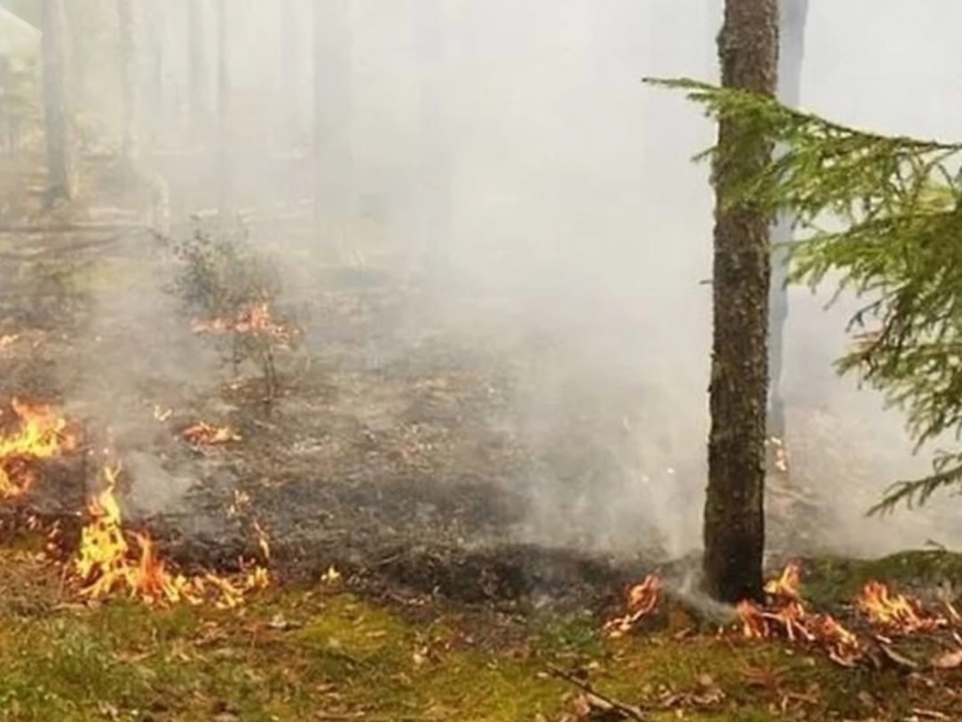 Тревожная ситуация: в Никольском районе бьют тревогу из-за пожаров